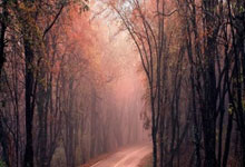 魔鬼赛程？亚泰开季3连客3连败&负申花海港英博 下周将战泰山.