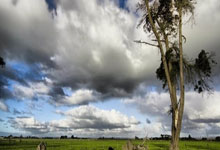 足坛十大中场之恩佐｜切尔西戒色型中场，阿根廷禁欲系男孩.